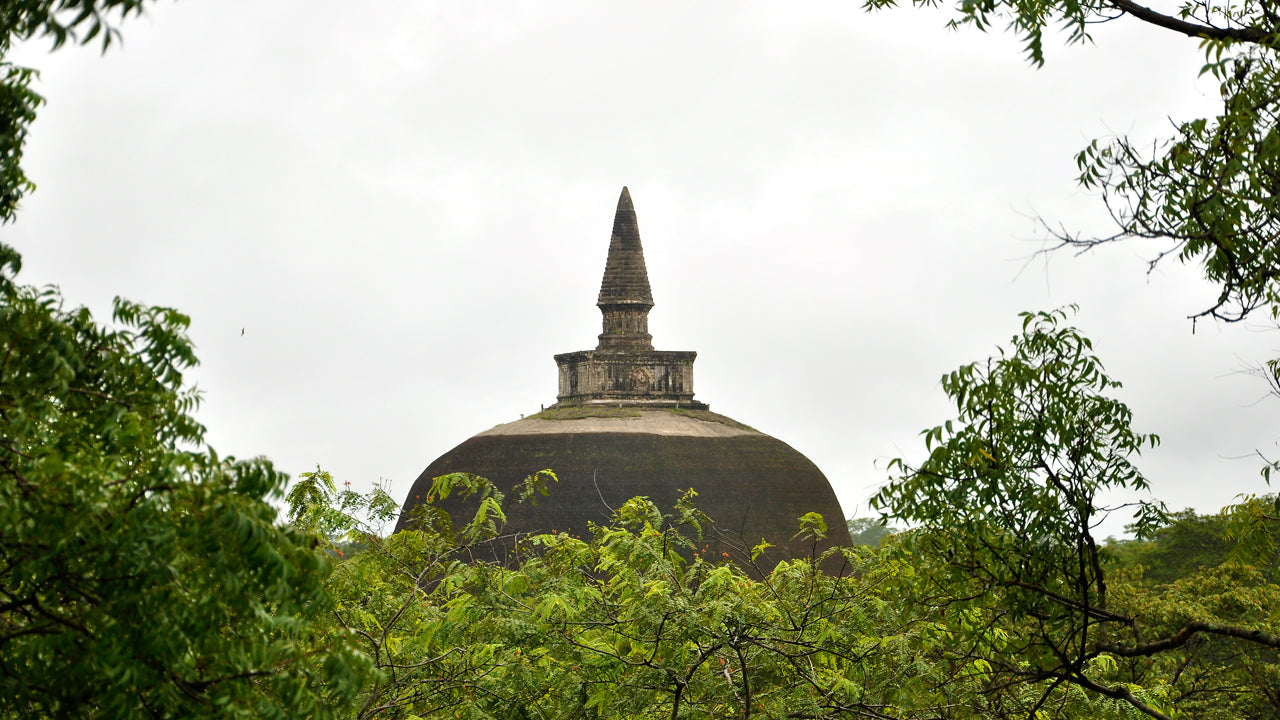 Polonnaruwa Antik Kent Giriş Biletleri