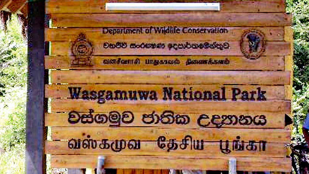 Wasgamuwa Milli Parkı Giriş Biletleri