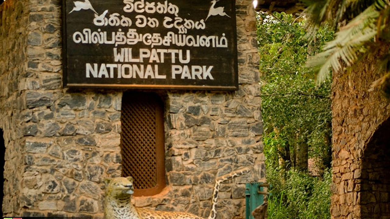 Wilpattu Milli Parkı Giriş Biletleri