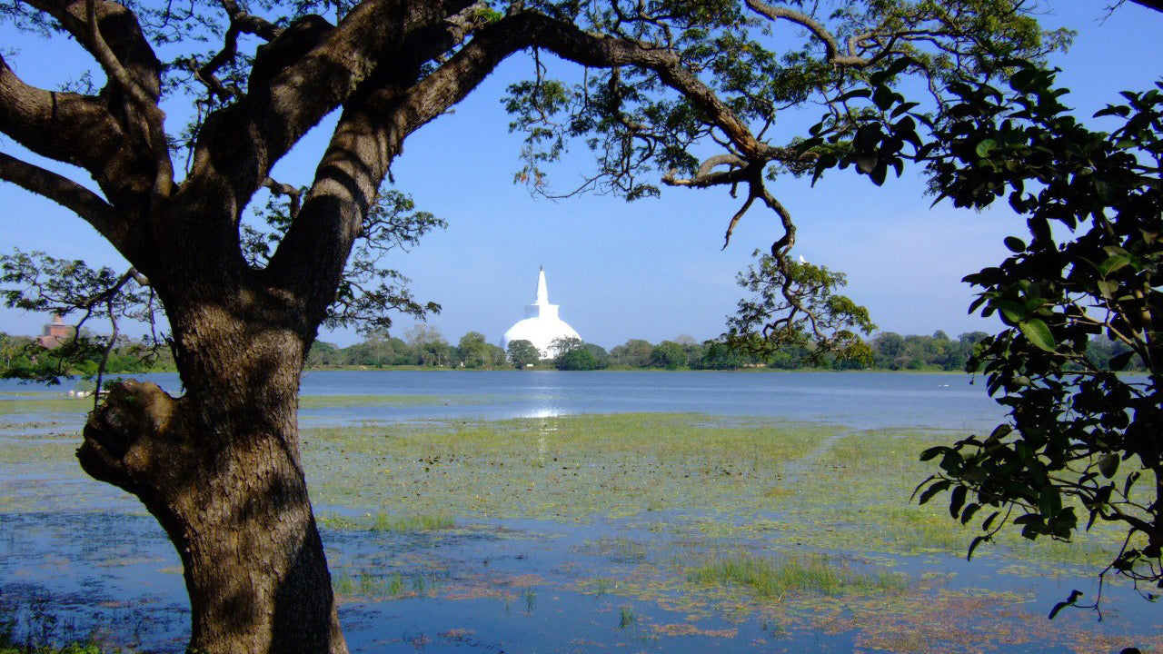 Anuradhapura Kutsal Alan Giriş Bileti