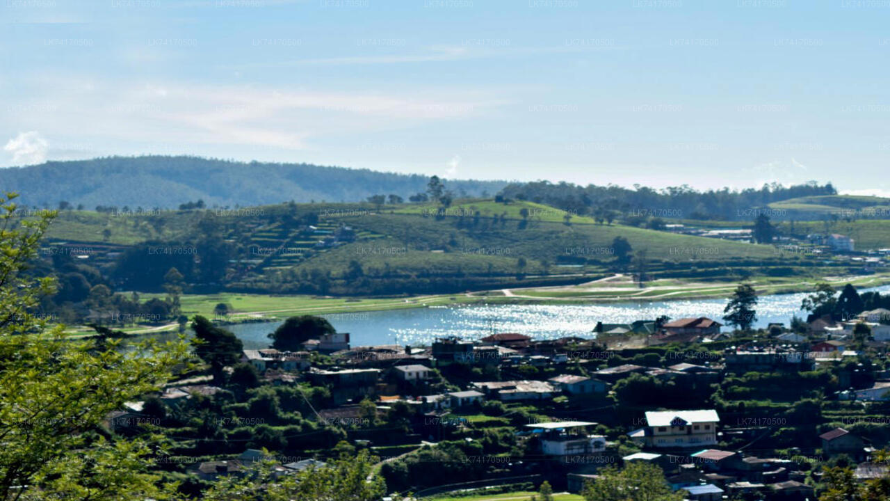 Kandy'den Heeloya Köyü'ne yürüyüş
