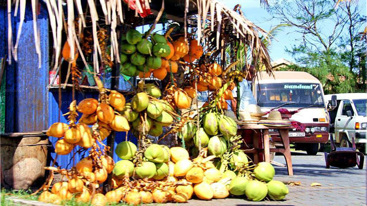 Colombo'dan Sabah Bisikleti