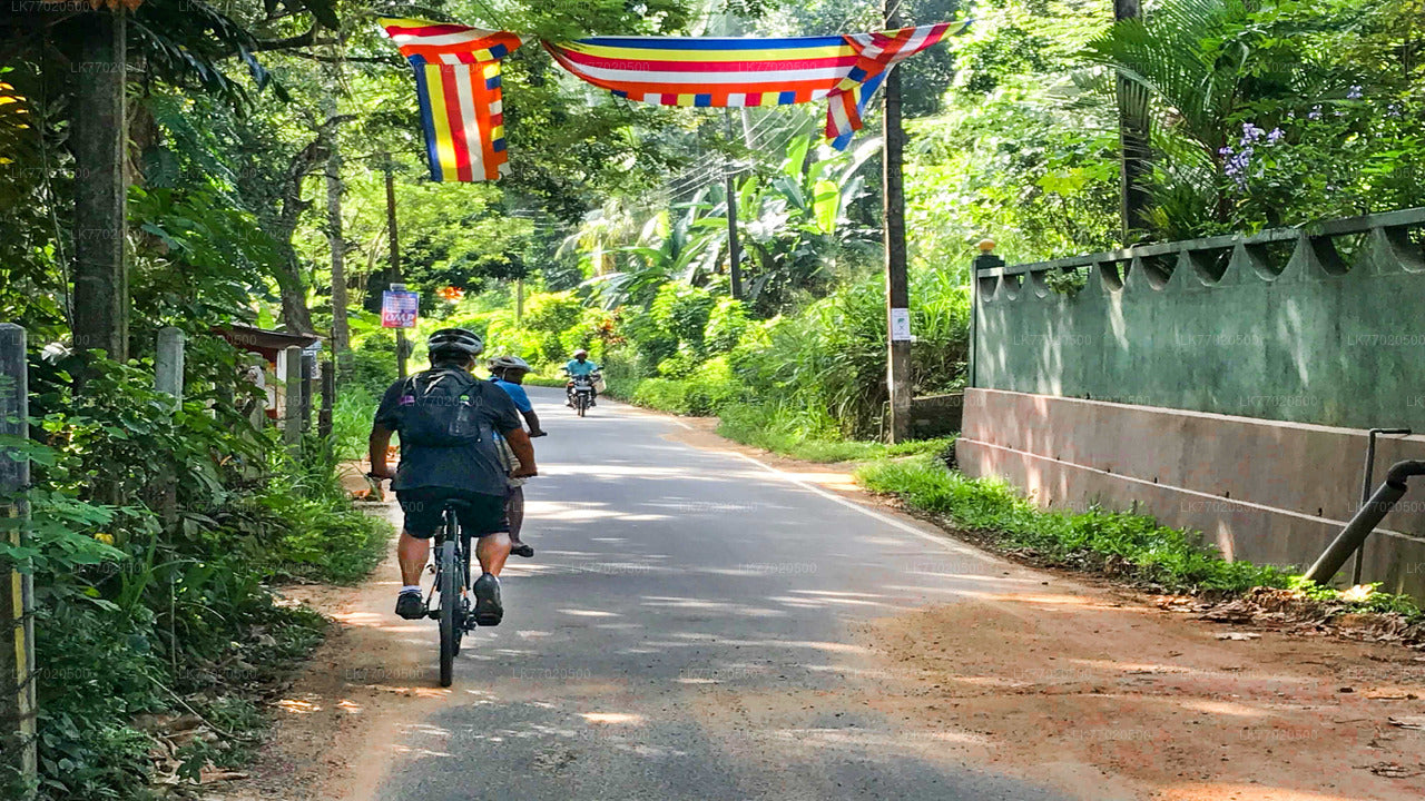 3 Kandy'den Temple Loop Bisiklet Turu