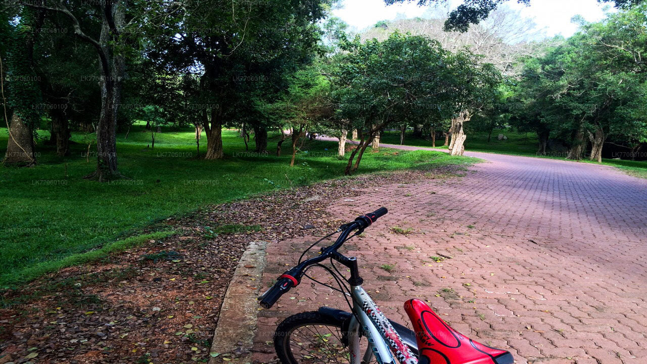 Anuradhapura'dan bisiklet