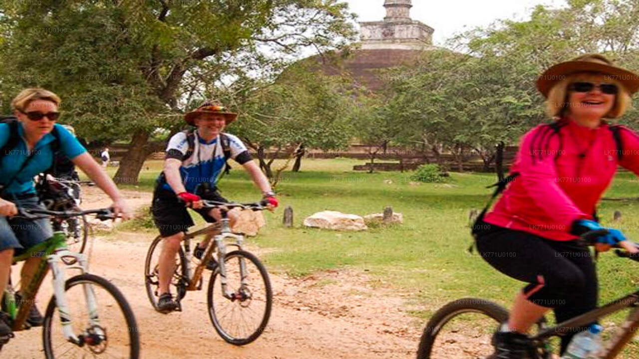 Polonnaruwa"dan Antik Harabeler Arasından Bisiklete binme