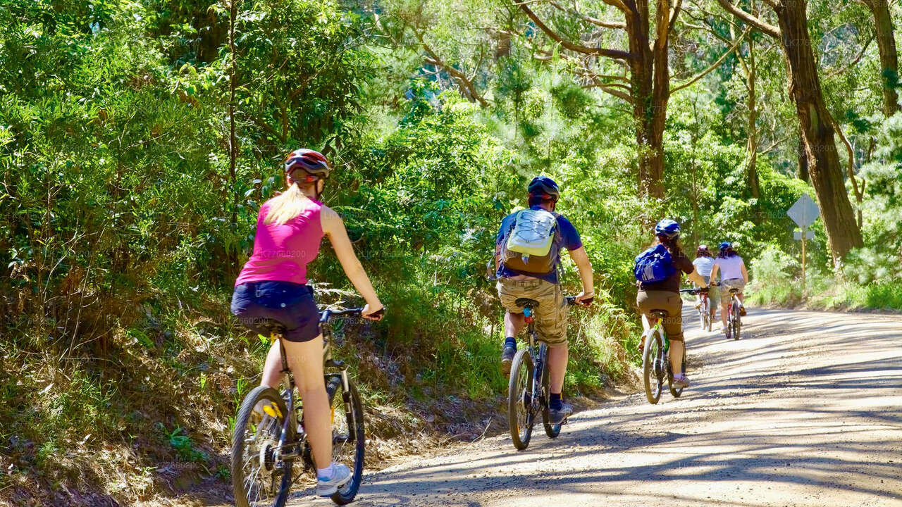 Urban Jungle Trail Cycling Tour from Mount Lavinia