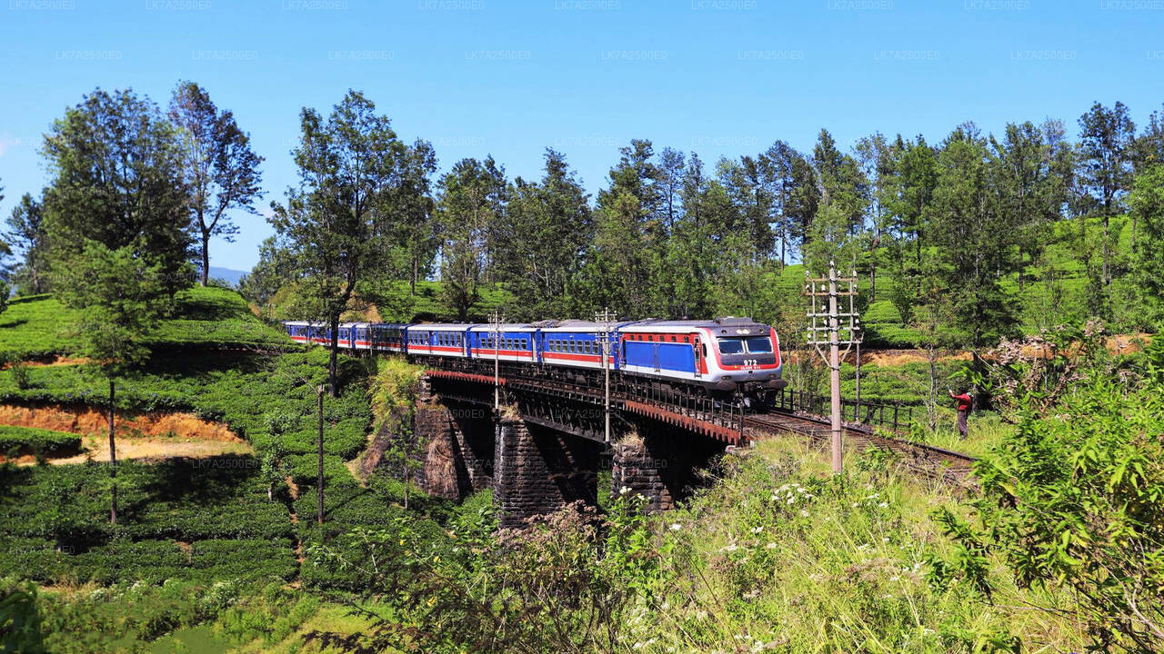 Peradeniya - Ella tren yolculuğu (Tren No: 1001 “Denuwara Menike”)