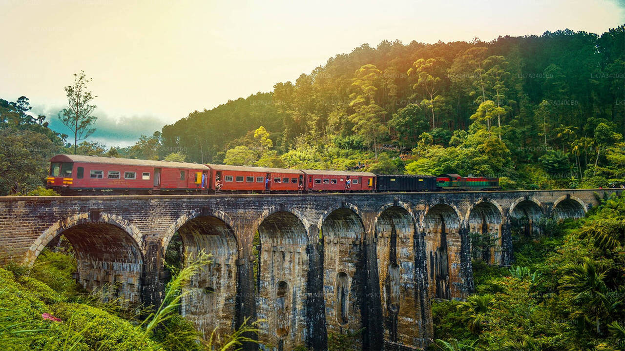 Kandy"den Nanu Oya"ya tren yolculuğu (Tren No: 1015 “Udarata Menike”)