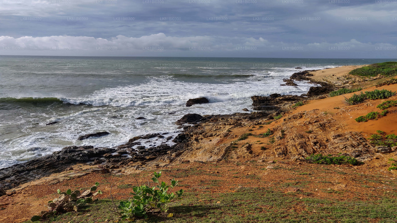 Hambantota Limanı'ndan Bundala Ulusal Parkı Safari