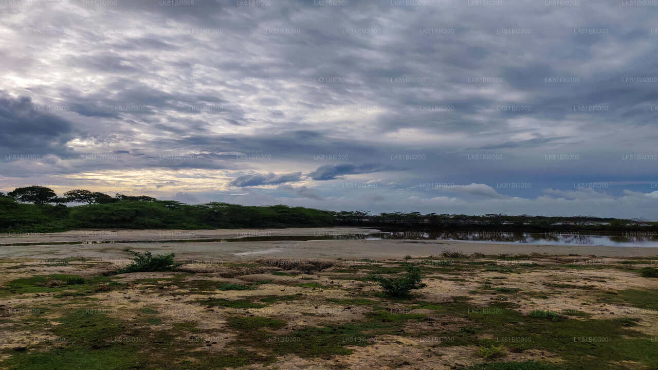 Hambantota Limanı'ndan Bundala Ulusal Parkı Safari