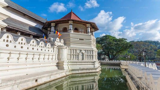 Kolombo Limanı'ndan Kandy Şehir Turu