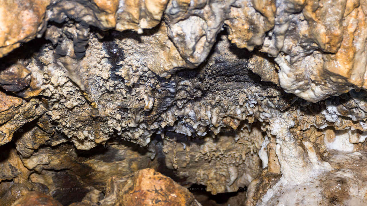 Kolombo'dan Pannila Mağarası'nı keşfedin