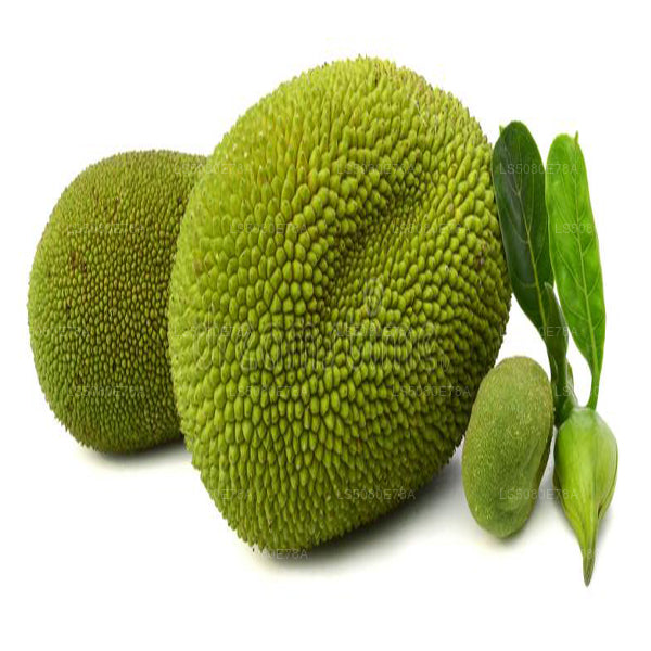 Bebek Jackfruit () 500g